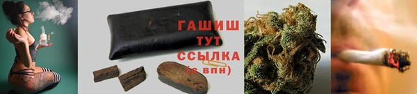 ешки Аркадак