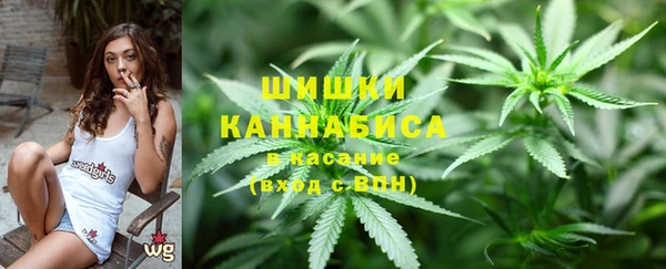 кокс Арсеньев