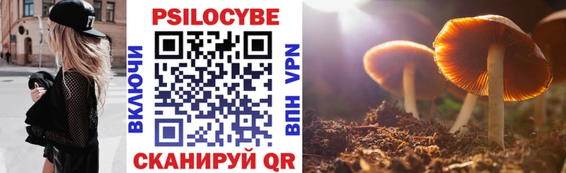 Галлюциногенные грибы GOLDEN TEACHER  купить  сайты  Талдом 