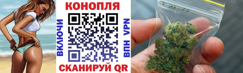 Бошки Шишки MAZAR  цена   Талдом 